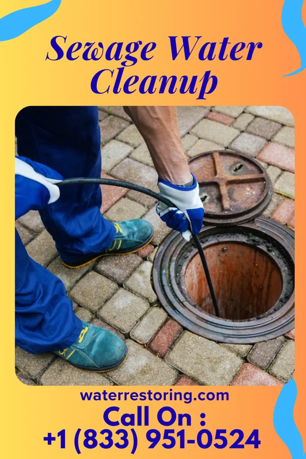 Sewage Water Cleanup in Tashua, CT